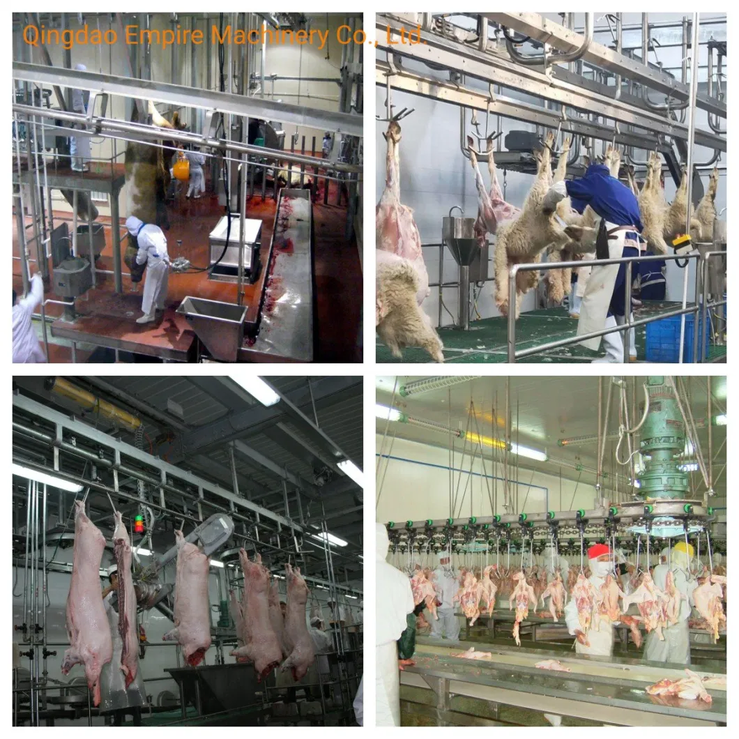 Belt Convey Machine Slaughtering Equipment for Cattle Sheep Pig Meat Processing Line