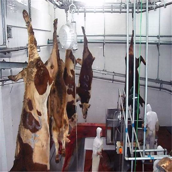 The Most Popular Slaughtering Equipment/Cattle Pig