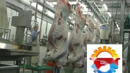 The Most Popular Slaughtering Equipment/Cattle Pig