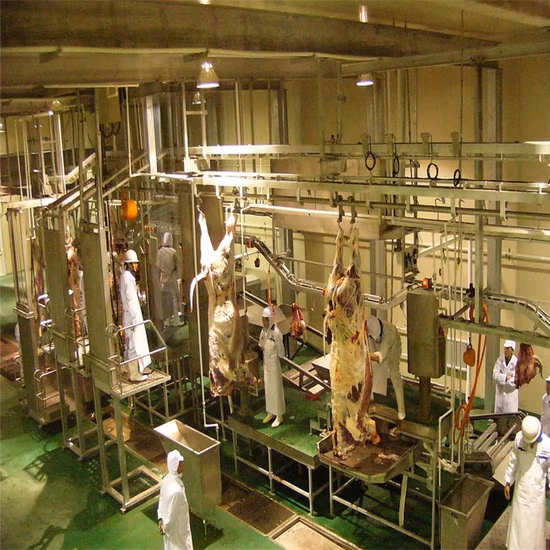 The Most Popular Slaughtering Equipment/Cattle Pig