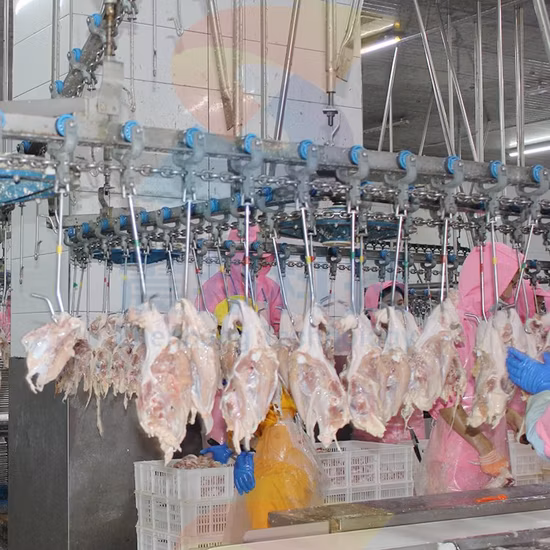 Poultry Chicken Slaughterhouse Machinery Slaughter Equipment