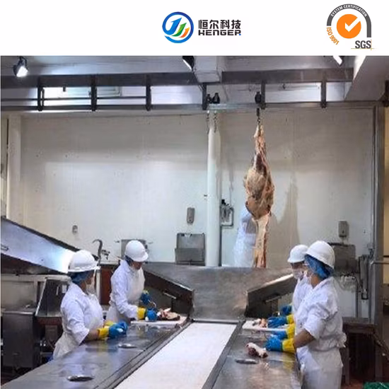 Henger Slaughtering Equipment Cattle Slaughterhouse Equipment for Pig Sheep