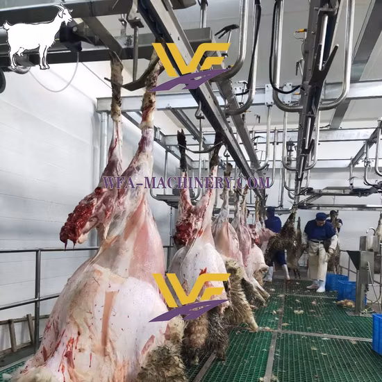 Cattle Sheep Pork Pig Slaughter/Slaughtering Machine/Equipment