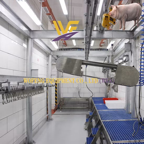 Cattle Sheep Pork Pig Slaughter Line /Slaughtering Machine/Equipment