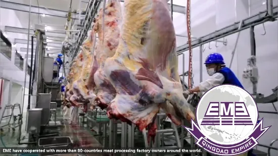 Beef Processing Machine Cattle Cow Slaughtering Abattoir Equipment