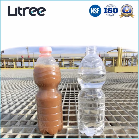 Litree Immersed Membrane Equipment for Slaughtering Water Treatment Plant