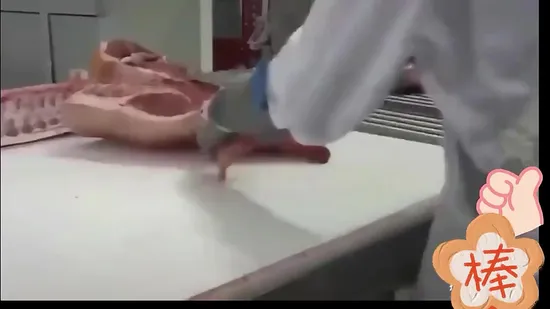 Pig Cattle Sheep Slaughtering Equipment/a Large Number of Slaughter