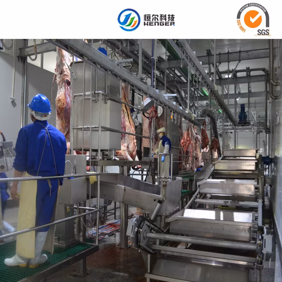 Abattoir Slaughter Equipment Processing Line for Cattle Pig Sheep
