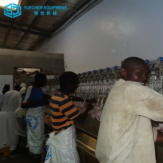 Africa Hot Sale Automatic Steel Chaine Poultry Chicken Slaughter Abattoir Equipment Good Price