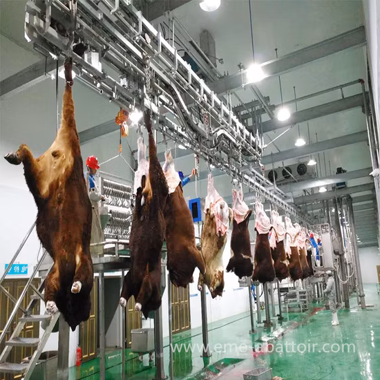 Cattle Beef Bovine Cow Slaughterhouse Processing Line Slaughtering Equipment for Sale