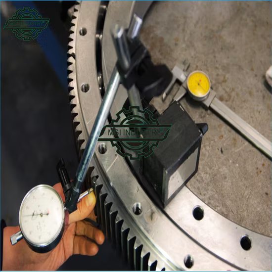 Slewing Ring Swing Ring Gear Reducer
