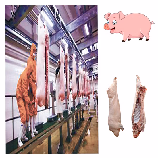 Pig Slaughtering Machine Vertical Pig Carcass Cleaning Equipment